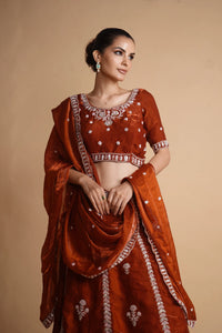 Rust embroidered lehenga Lehenga